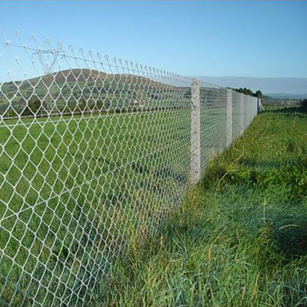 Chain Link Fencing - Concrete Posts