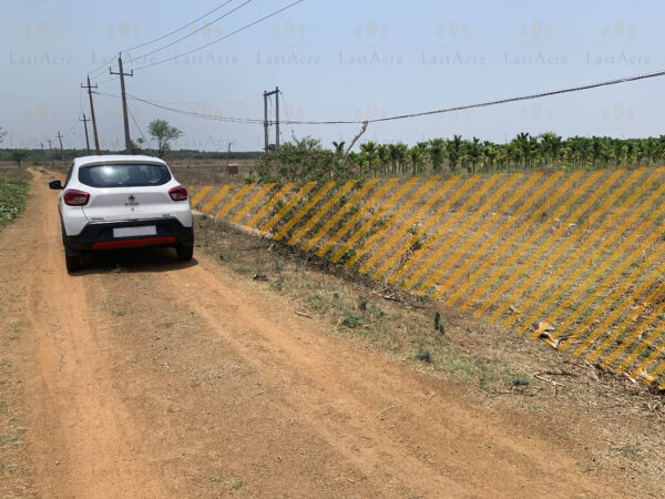 1 Acre 11 Guntas - 55,539 sq.ft - Hebbur, Tumkur - T250301 - Image 3