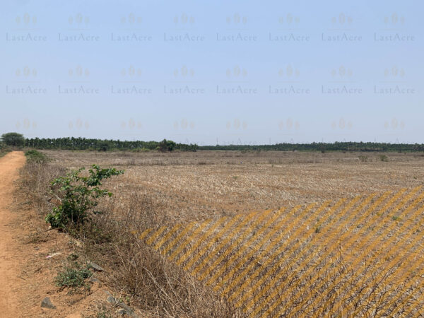 25 Guntas - 27,225 sq.ft. - Hebbur, Tumkur - T250302 - Image 3