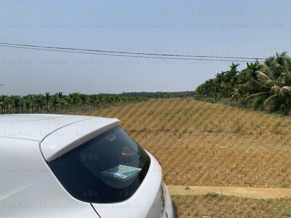 1 Acre 11 Guntas - 55,539 sq.ft - Hebbur, Tumkur - T250301 - Image 4