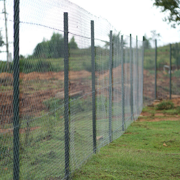 Chain Link Fencing - Metal Posts - Image 2