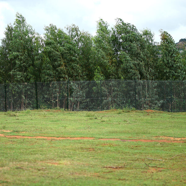 Chain Link Fencing - Metal Posts - Image 3