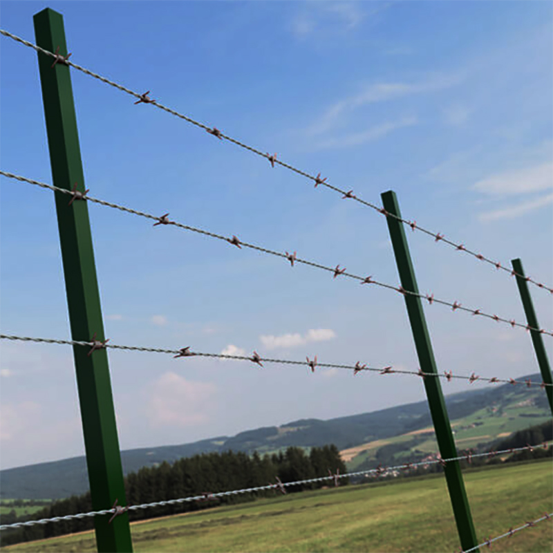 Barbed Wire Fencing - Metal Posts