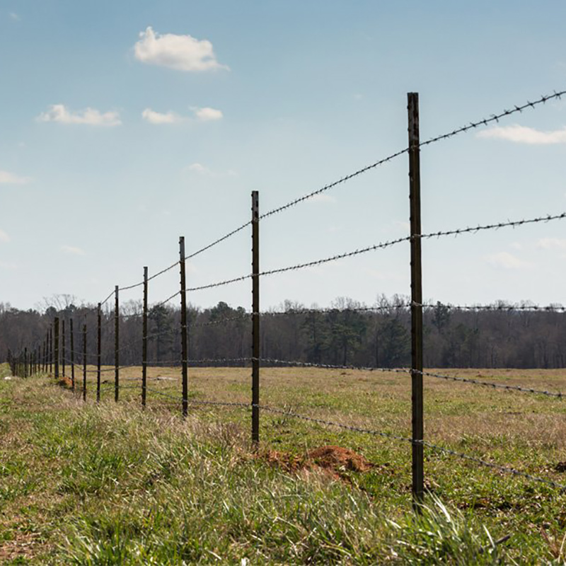 Barbed Wire Fencing - Metal Posts - Image 4