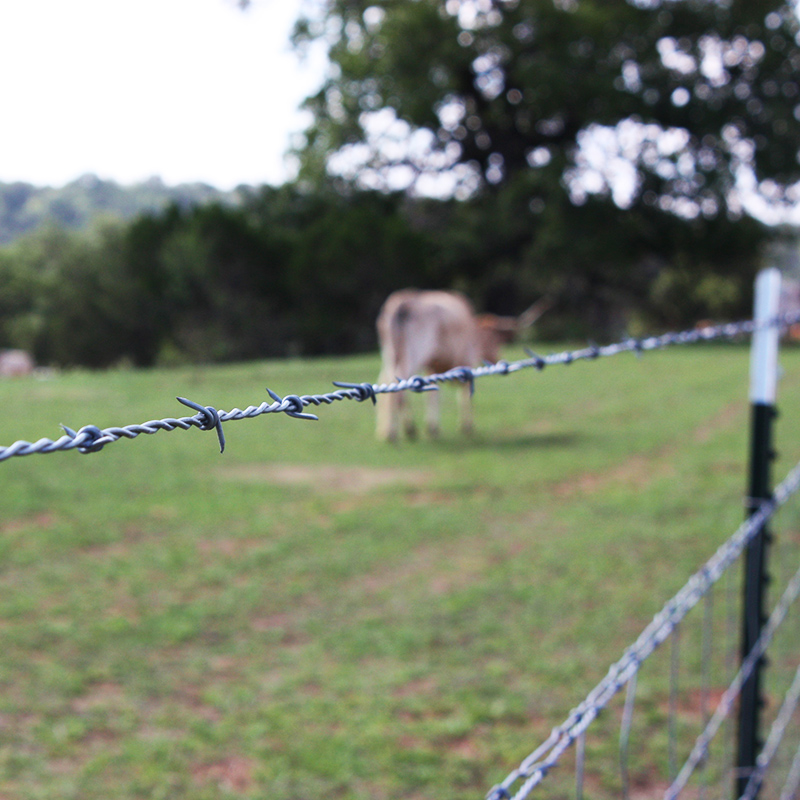 Barbed Wire Fencing - Metal Posts - Image 3