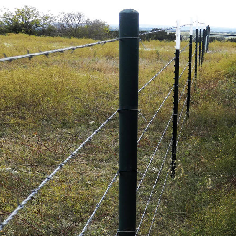 Barbed Wire Fencing - Metal Posts - Image 6