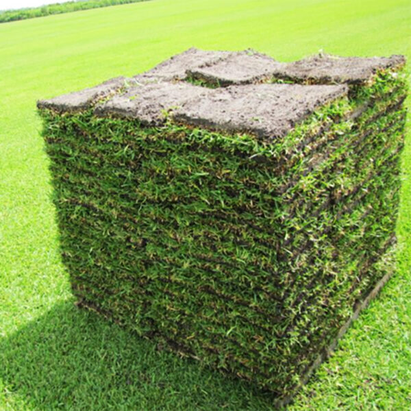 Natural Grass Turf – Curated Farm Lands | Premium Agri Plots