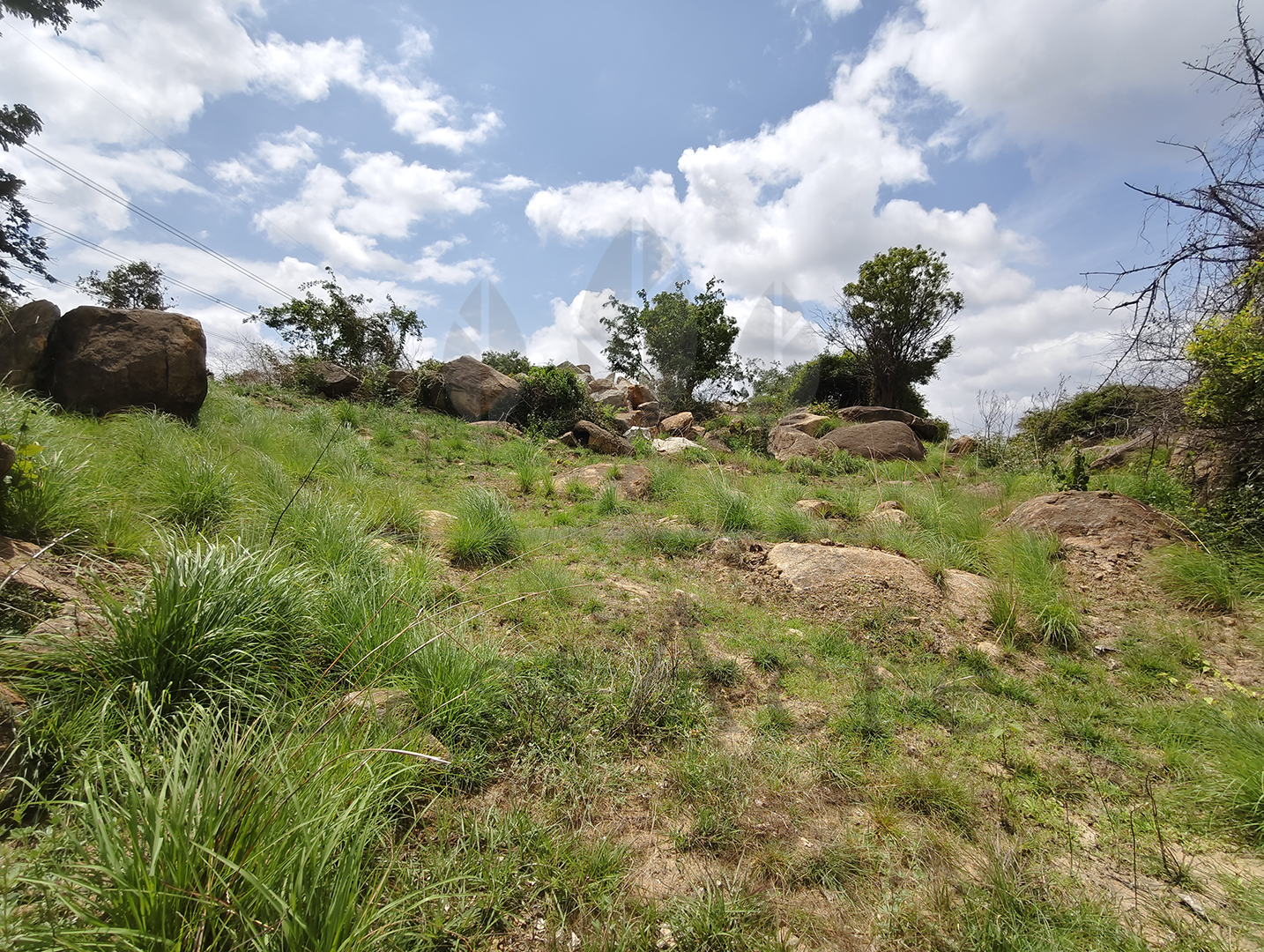 3 Acre - 1,30,680 sq.ft - Madeswara village, Dodballapur - B250401 - Image 8