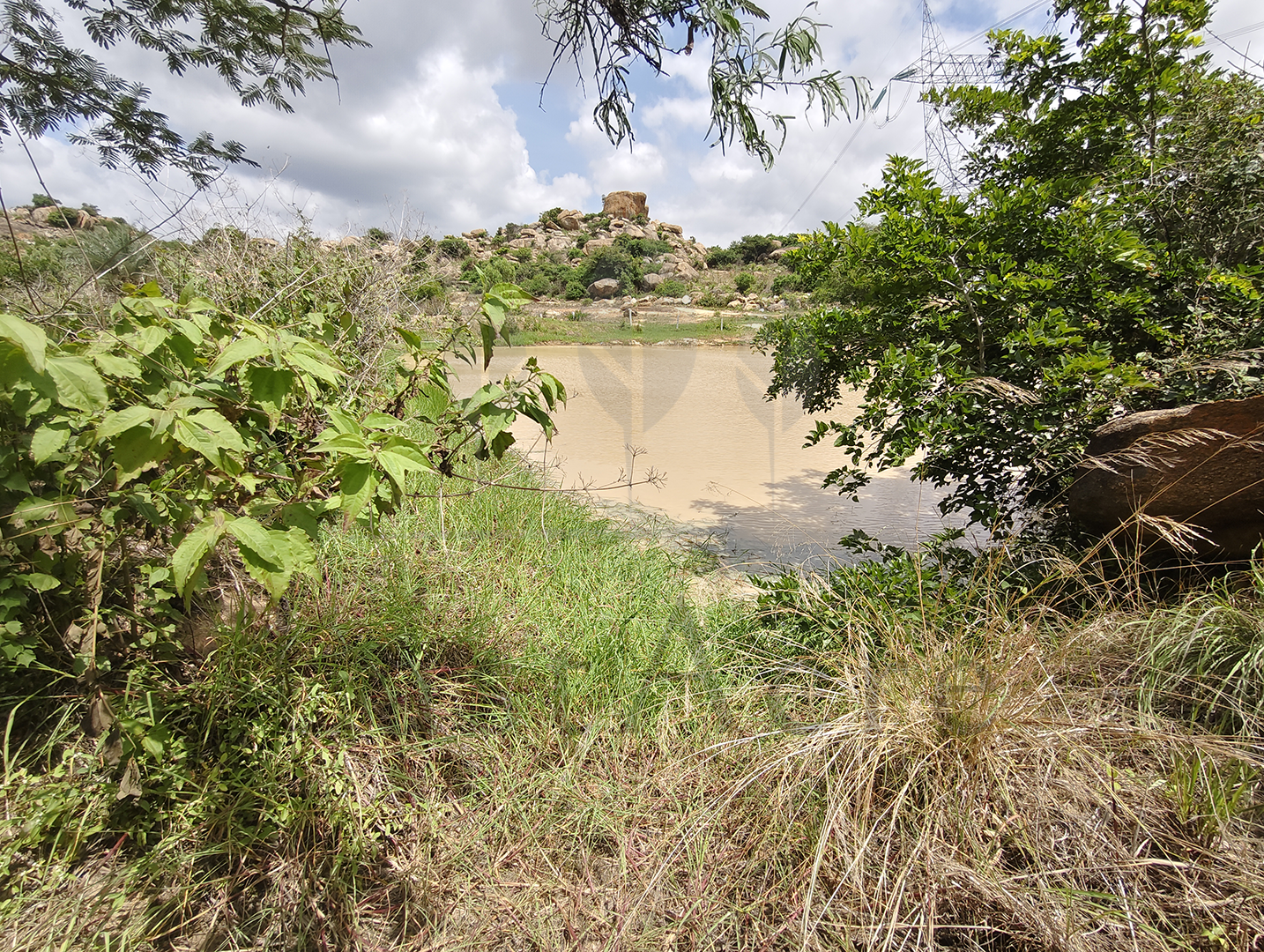 3 Acre - 1,30,680 sq.ft - Madeswara village, Dodballapur - B250401 - Image 9