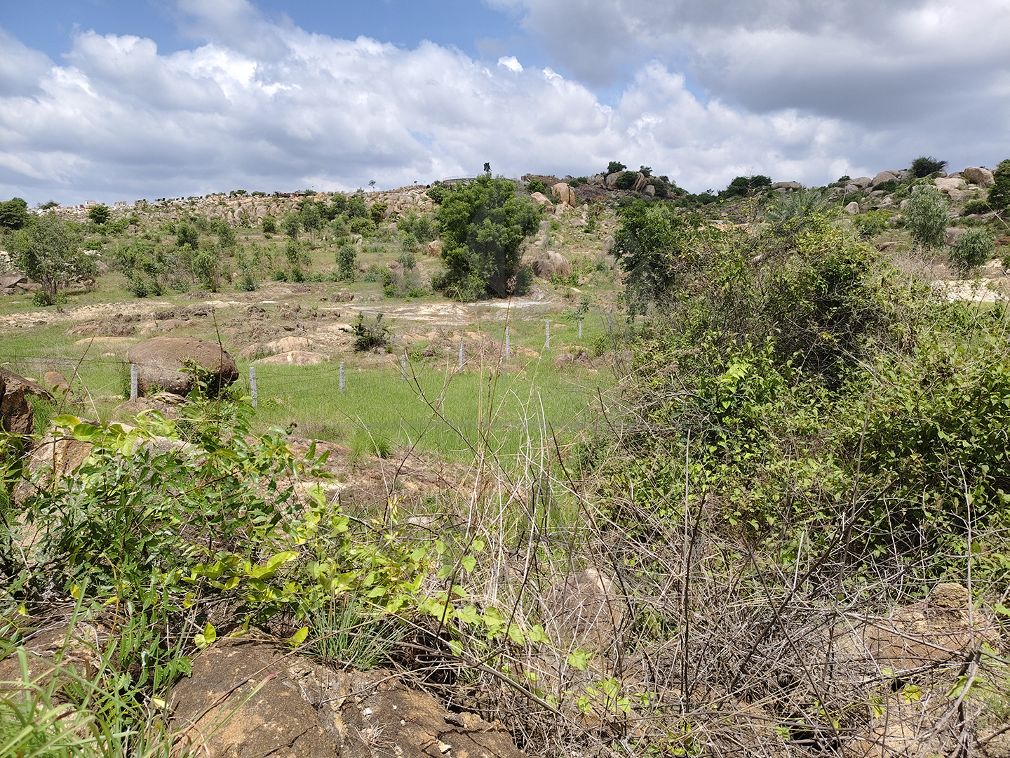 3 Acre - 1,30,680 sq.ft - Madeswara village, Dodballapur - B250401 - Image 10