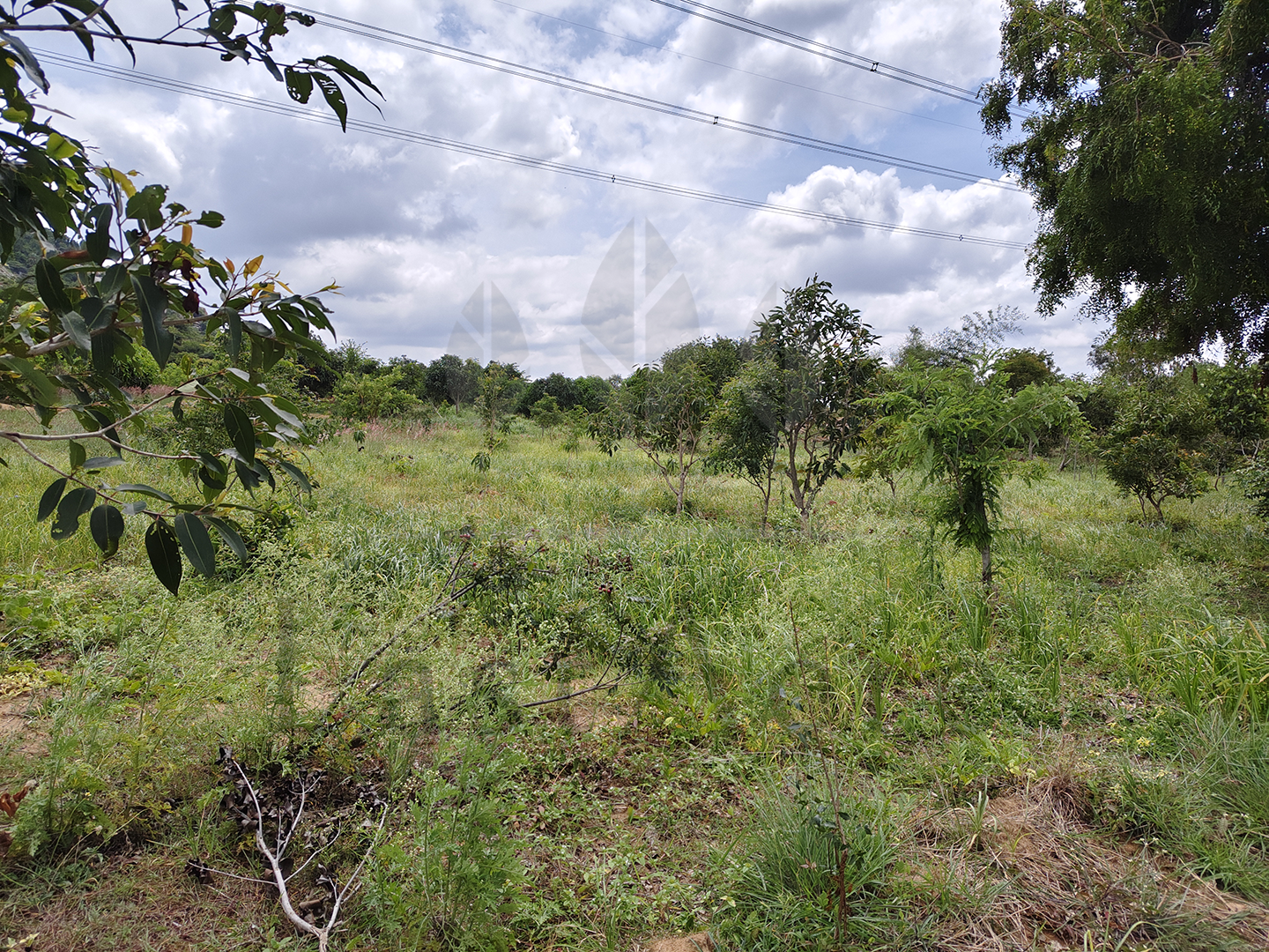 3 Acre - 1,30,680 sq.ft - Madeswara village, Dodballapur - B250401 - Image 11