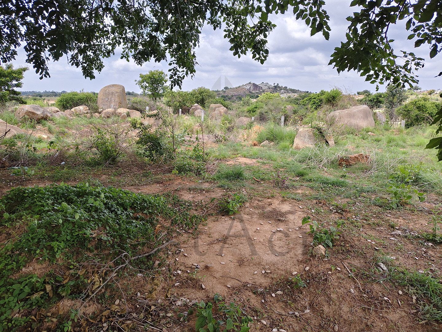 3 Acre - 1,30,680 sq.ft - Madeswara village, Dodballapur - B250401 - Image 12