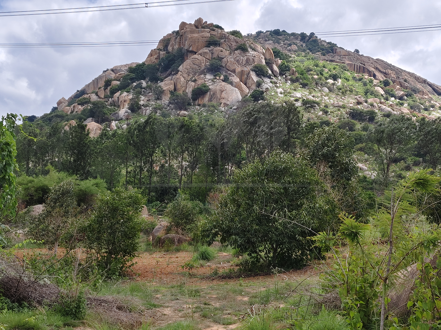 3 Acre - 1,30,680 sq.ft - Madeswara village, Dodballapur - B250401 - Image 13