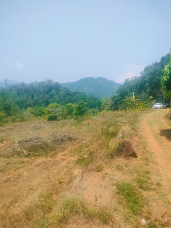 3 Acre 10 Guntas - 1,41,570 sq.ft - Biligeri, Somvarpet - K250301 - Image 2