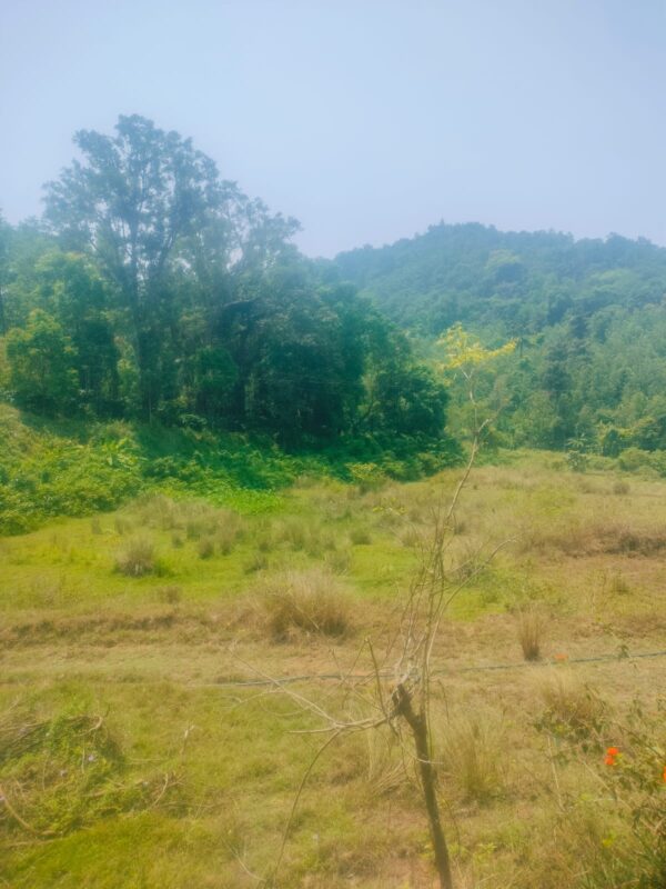 3 Acre 10 Guntas - 1,41,570 sq.ft - Biligeri, Somvarpet - K250301