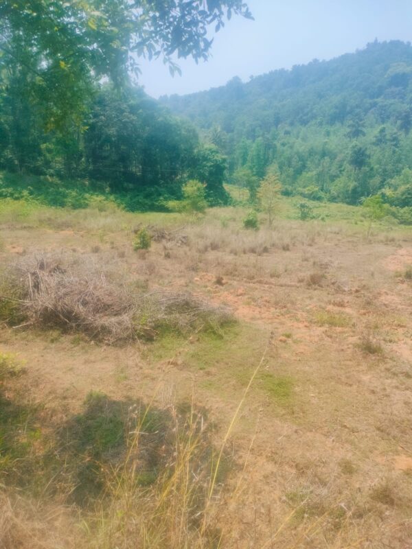 3 Acre 10 Guntas - 1,41,570 sq.ft - Biligeri, Somvarpet - K250301 - Image 12