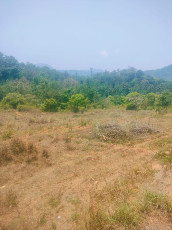3 Acre 10 Guntas - 1,41,570 sq.ft - Biligeri, Somvarpet - K250301 - Image 13