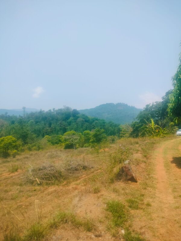 3 Acre 10 Guntas - 1,41,570 sq.ft - Biligeri, Somvarpet - K250301 - Image 3