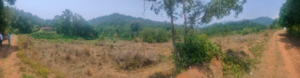 3 Acre 10 Guntas - 1,41,570 sq.ft - Biligeri, Somvarpet - K250301 - Image 4