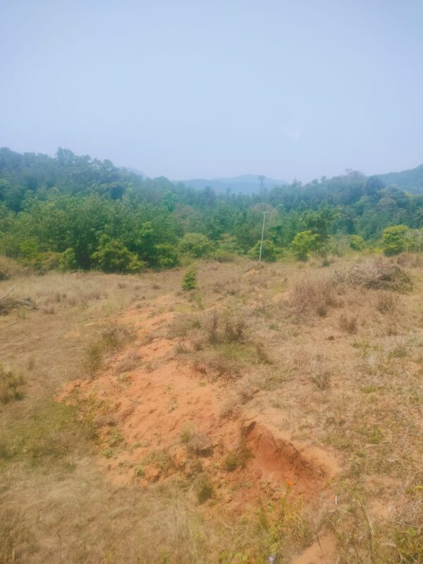 3 Acre 10 Guntas - 1,41,570 sq.ft - Biligeri, Somvarpet - K250301 - Image 5