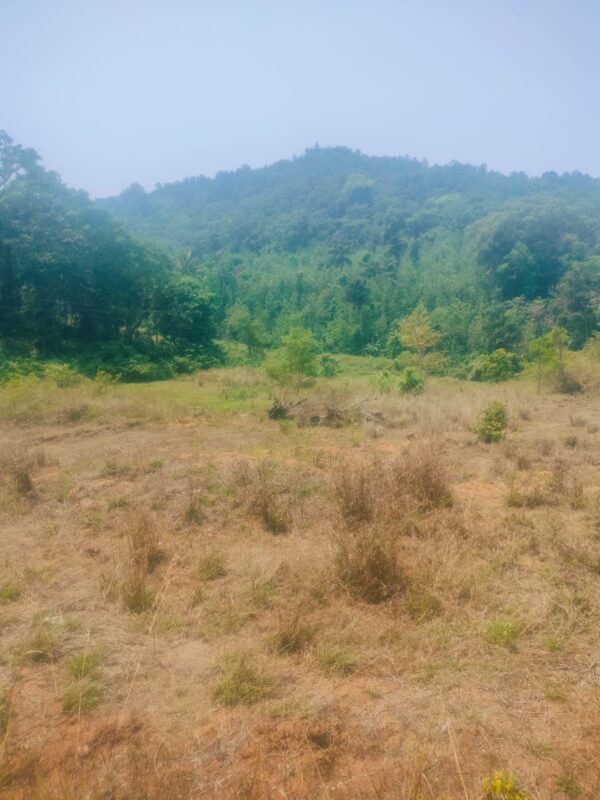 3 Acre 10 Guntas - 1,41,570 sq.ft - Biligeri, Somvarpet - K250301 - Image 6