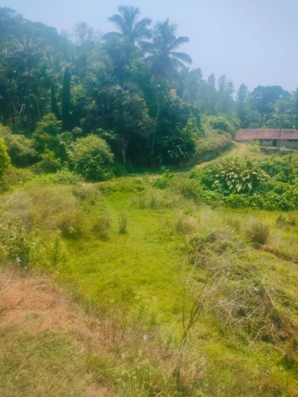 3 Acre 10 Guntas - 1,41,570 sq.ft - Biligeri, Somvarpet - K250301 - Image 7
