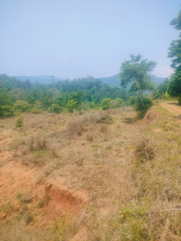 3 Acre 10 Guntas - 1,41,570 sq.ft - Biligeri, Somvarpet - K250301 - Image 8