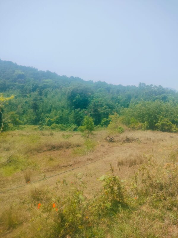 3 Acre 10 Guntas - 1,41,570 sq.ft - Biligeri, Somvarpet - K250301 - Image 9