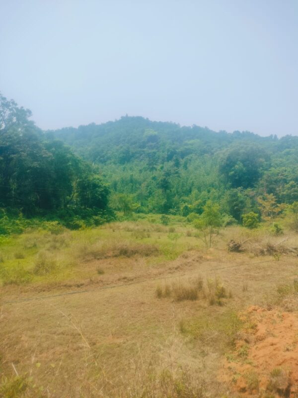 3 Acre 10 Guntas - 1,41,570 sq.ft - Biligeri, Somvarpet - K250301 - Image 10