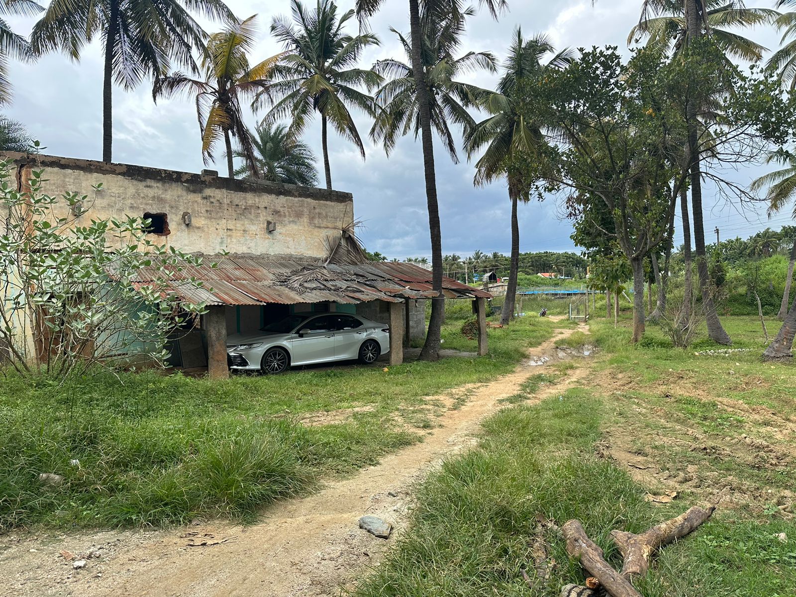 16 Guntas - 17,424 sq.ft. - Gubbi, Tumkur - T250401 - Image 4