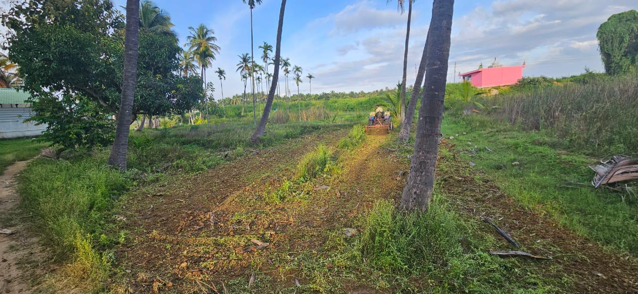 16 Guntas - 17,424 sq.ft. - Gubbi, Tumkur - T250401 - Image 2