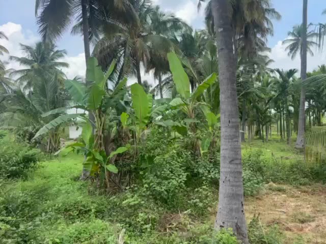 16 Guntas - 17,424 sq.ft. - Gubbi, Tumkur - T250401 - Image 6