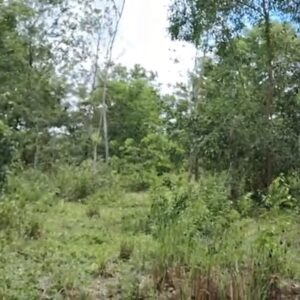 5.5 Acre - 2,17,800 sq.ft - Bittangala, Virajpet, Kodagu - K251001