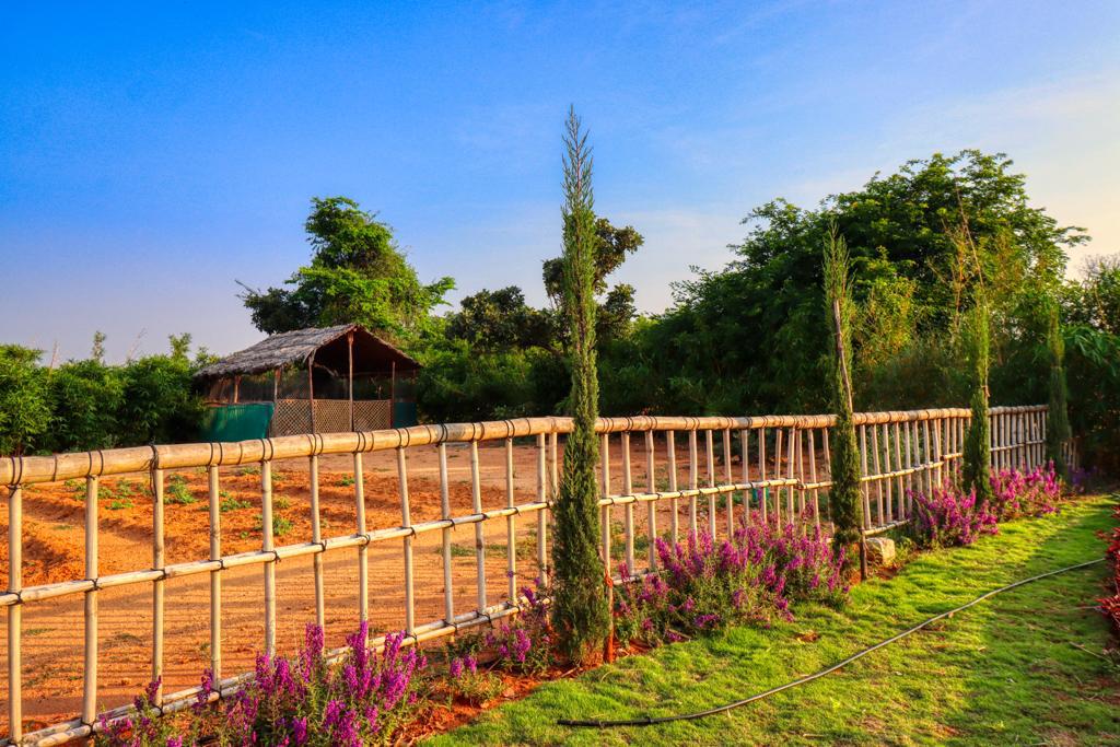 5,673 sq.ft - 18,556 sq.ft - Madinayakanahalli, Mandikallu, Chikkaballapur - C251024 - Image 12