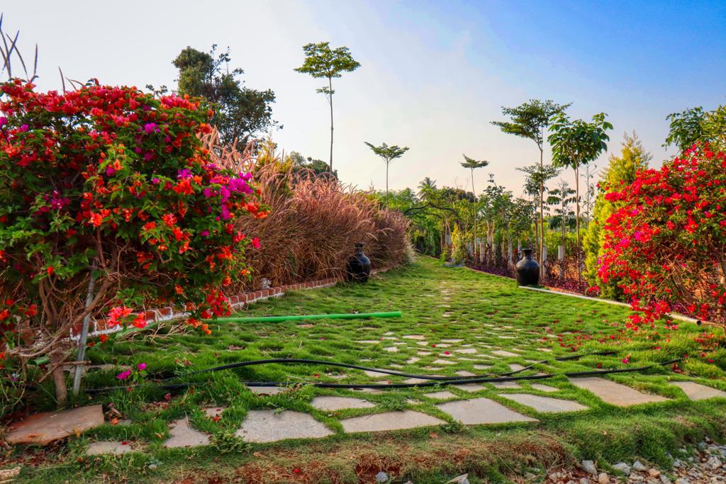 5,673 sq.ft - 18,556 sq.ft - Madinayakanahalli, Mandikallu, Chikkaballapur - C251024 - Image 13