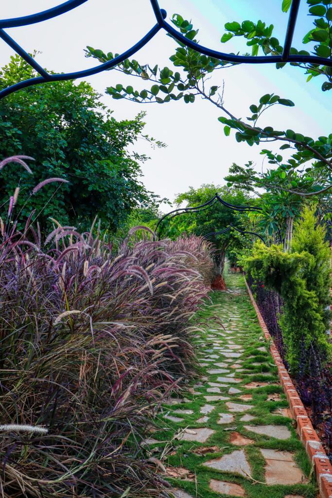 5,673 sq.ft - 18,556 sq.ft - Madinayakanahalli, Mandikallu, Chikkaballapur - C251024 - Image 15