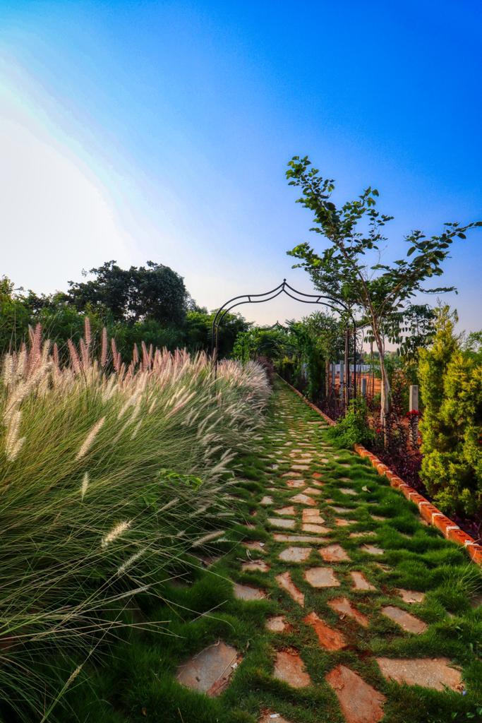 5,673 sq.ft - 18,556 sq.ft - Madinayakanahalli, Mandikallu, Chikkaballapur - C251024 - Image 16