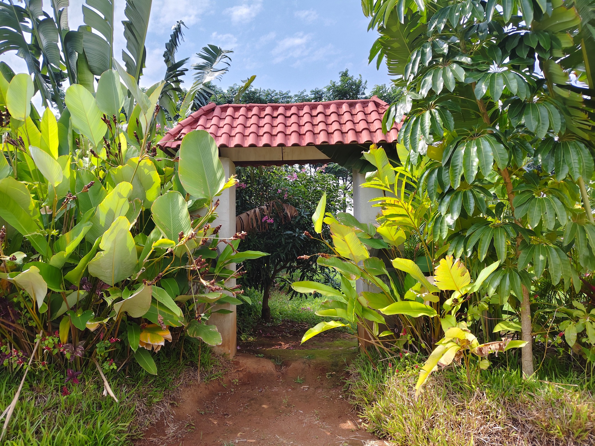 5,800 sq.ft - 1 Acre - Advaya Bali, Kaddibur, Chikkaballapur - C251106 - Image 4