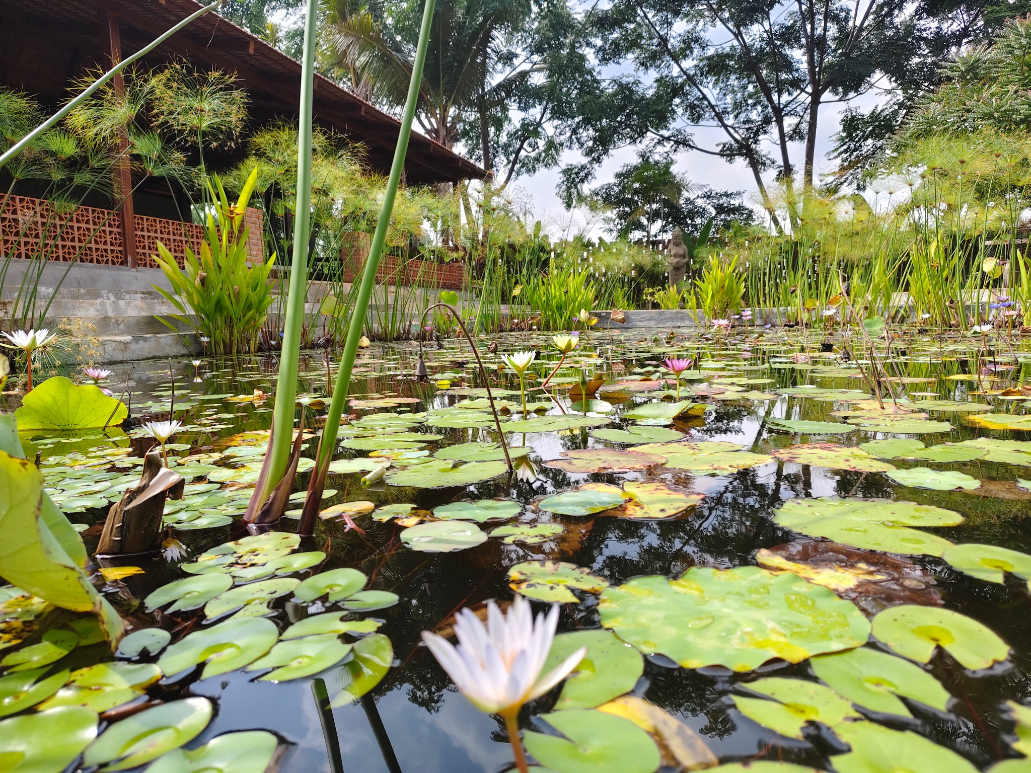 5,800 sq.ft - 1 Acre - Advaya Bali, Kaddibur, Chikkaballapur - C251106