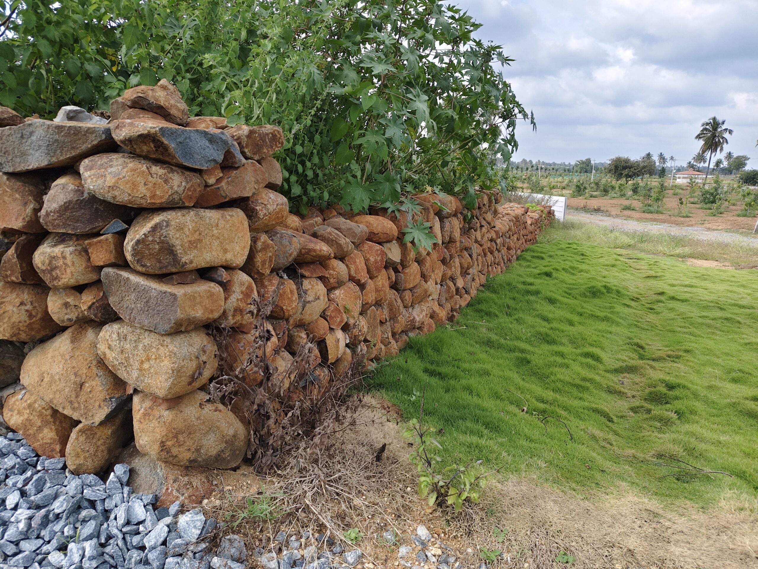 6,000 sq.ft. - 20,000 sq.ft - Tuscany Valley, Varlakonda, Chikkaballapur - C251107 - Image 8