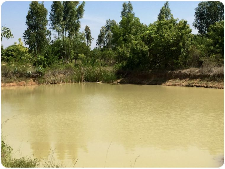 39 Acre - Gauribidanur – Chikkaballapur Highway - B260401 - Image 4