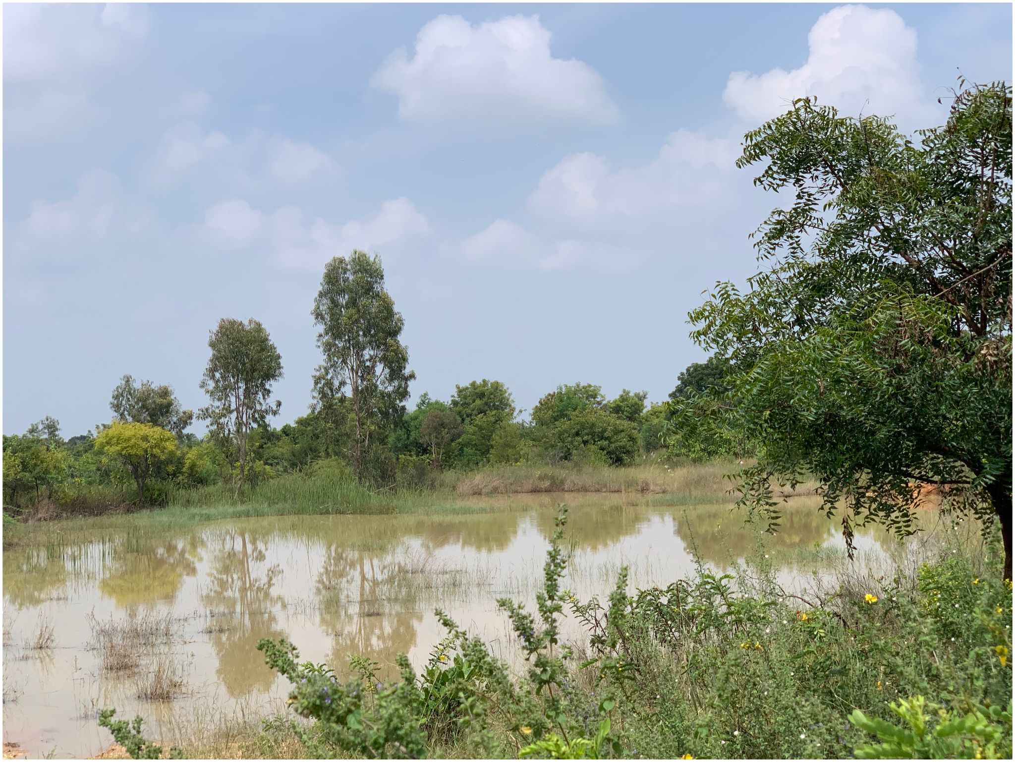 39 Acre - Gauribidanur – Chikkaballapur Highway - B260401 - Image 5