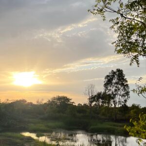 39 Acre - Gauribidanur – Chikkaballapur Highway - B260401