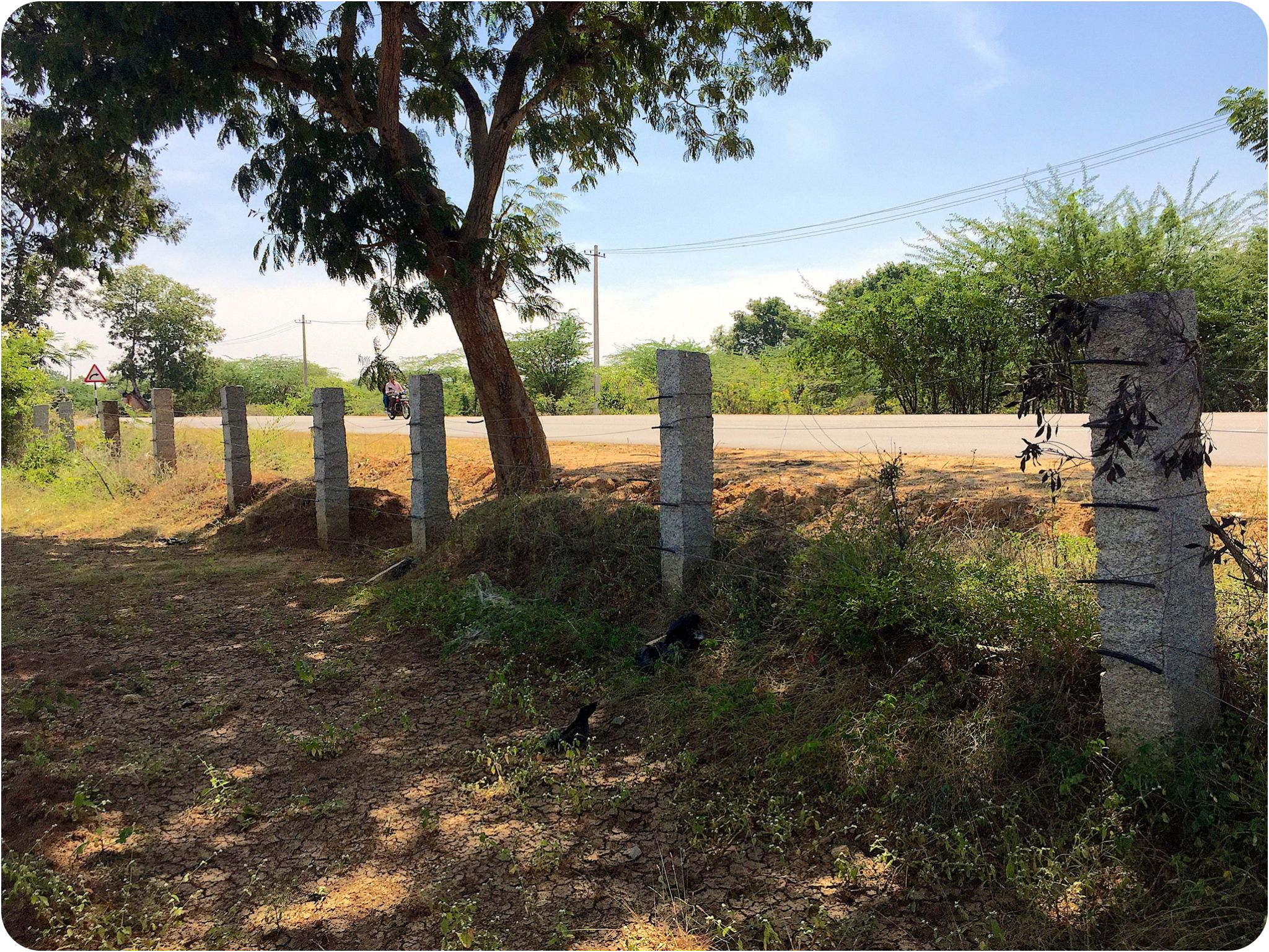 39 Acre - Gauribidanur – Chikkaballapur Highway - B260401 - Image 7