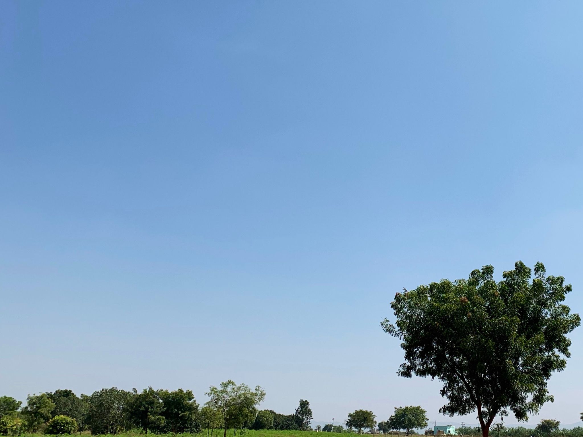 39 Acre - Gauribidanur – Chikkaballapur Highway - B260401 - Image 2