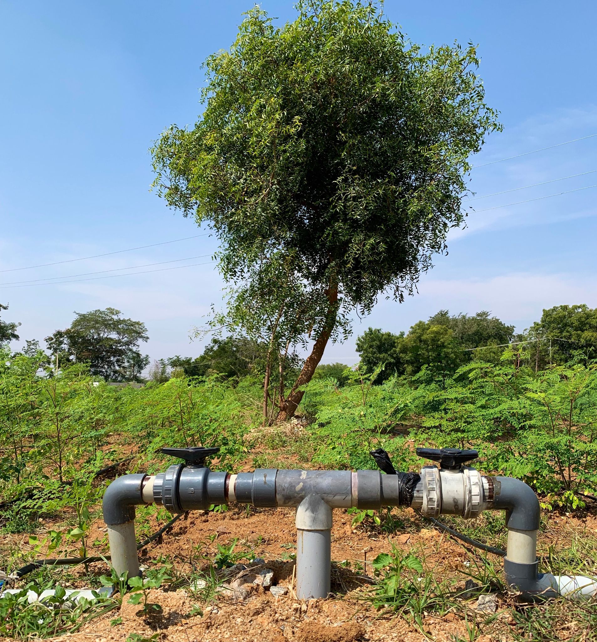 39 Acre - Gauribidanur – Chikkaballapur Highway - B260401 - Image 9