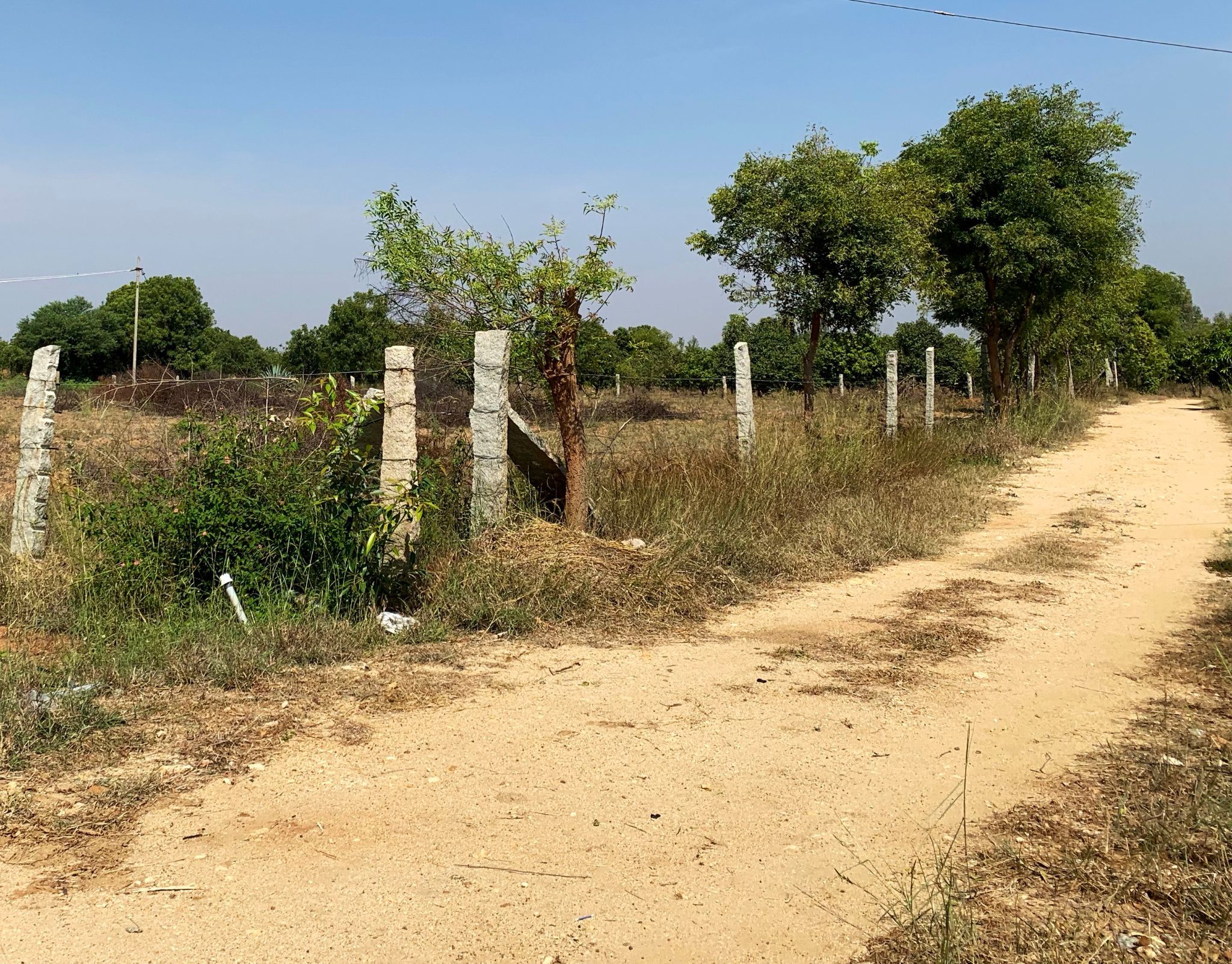 39 Acre - Gauribidanur – Chikkaballapur Highway - B260401 - Image 10